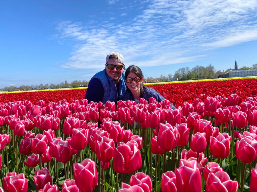 Amsterdam: Tulip Fields Day Tour with Lunch & Windmill - Key takeaways before you go