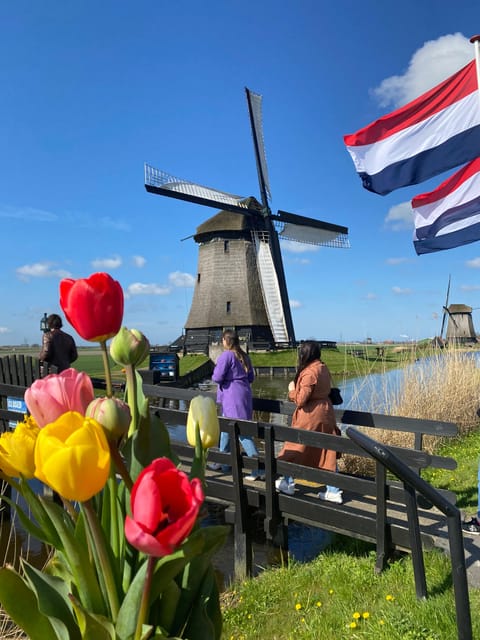 Amsterdam: Tulip Fields Day Tour with Lunch & Windmill - Tulip field stops: why three farms beat one famous garden