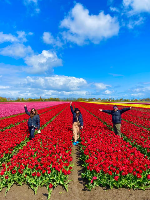 Amsterdam: Tulip Fields Day Tour with Lunch & Windmill - Timing, comfort, and how the day actually flows