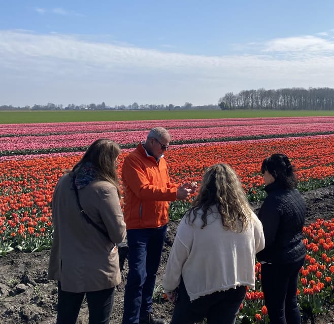 Amsterdam: Tulip Fields Day Tour with Lunch & Windmill - Price and value: why $143 can make sense here