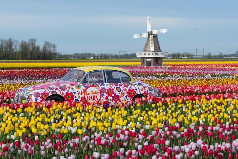 Amsterdam : Tulip Wonderland Tour - Tulip Barn entrance: skipping the ticket line and stepping into the colors