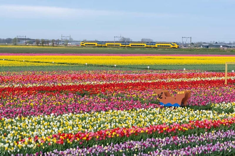 Amsterdam : Tulip Wonderland Tour - The return to Amsterdam: keeping the day stress-free