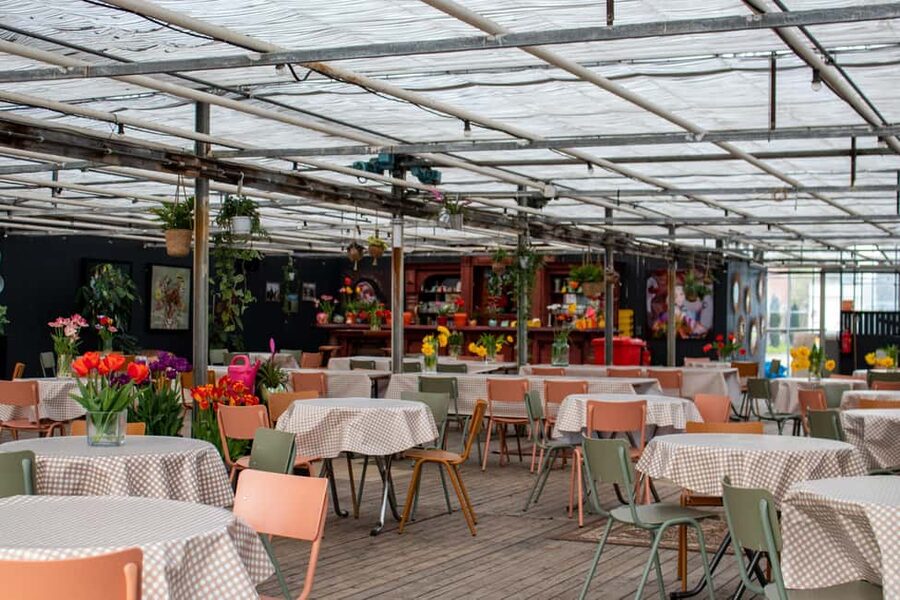Amsterdam : Tulip Wonderland Tour - Price and value: why $37 is more about convenience than just flowers