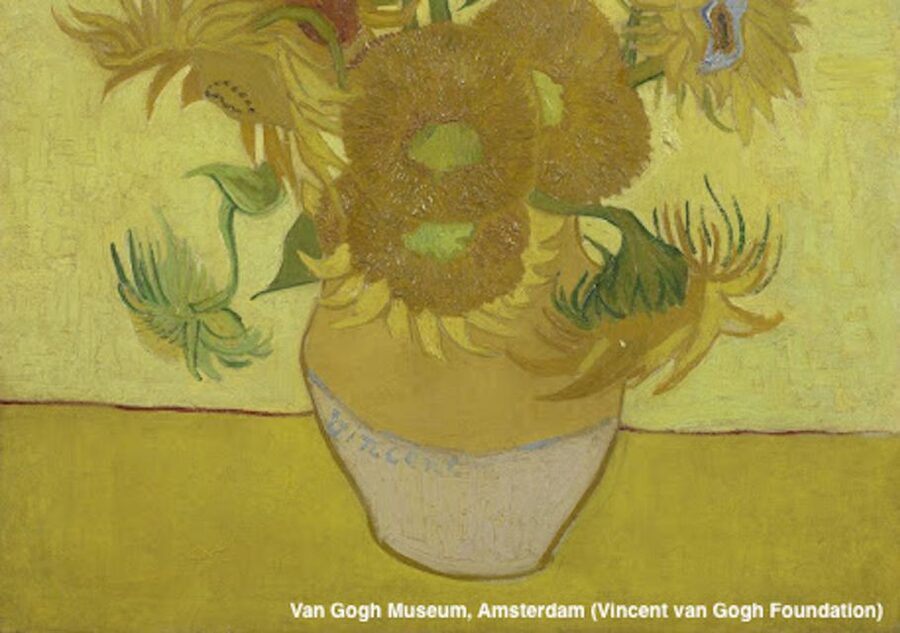 Amsterdam: Van Gogh Museum Guided Tour with Entry - Meeting at Paulus Potterstraat 7, and finding your guide in green