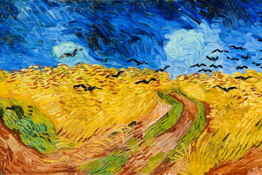 Amsterdam: Van Gogh Museum Ticket - Audio guide in 11 languages, how to use it for real value
