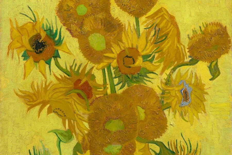 Amsterdam: Van Gogh Museum Ticket - Temporary exhibitions, and why they can be worth extra time
