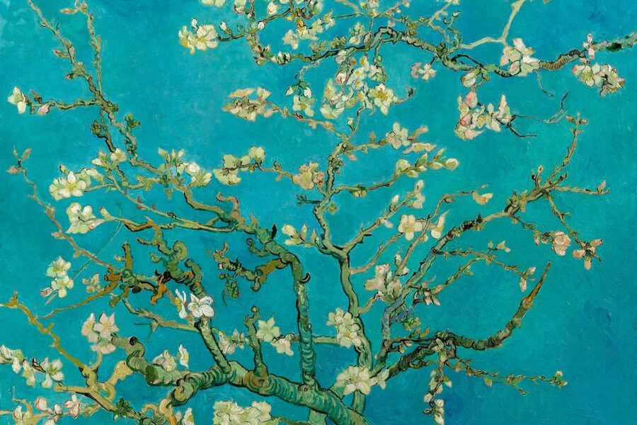 Amsterdam: Van Gogh Museum Ticket and City Canal Cruise - Price and What You Get for $47