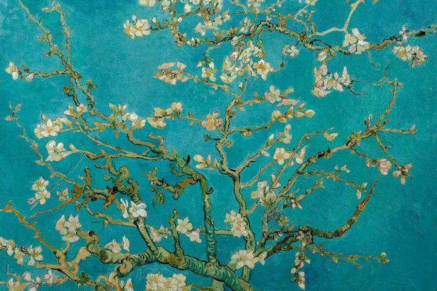 Amsterdam: Van Gogh Museum Ticket & Canal Cruise - What to watch for on the boat: steps, sound, and comfort