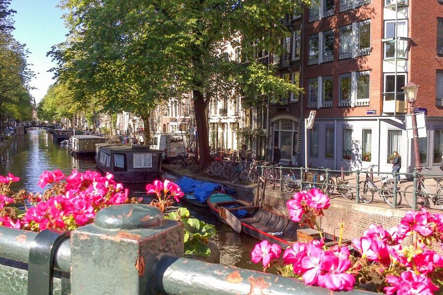 Amsterdam Walking Tour and Canal Cruise - Your private guide makes the walking route feel personal