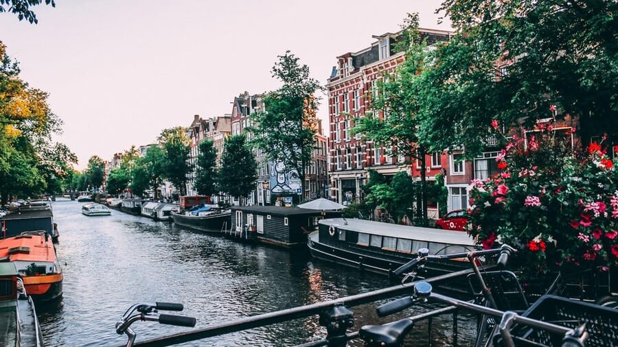 Amsterdam Walking Tour with a Local - Key takeaways before you book