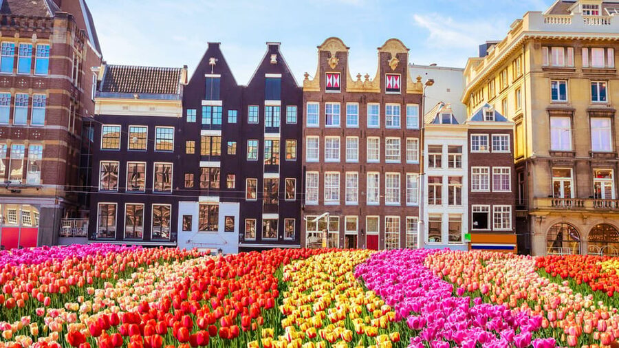 Amsterdam Walking Tour with a Local - Your first phase: getting your bearings in the neighborhood