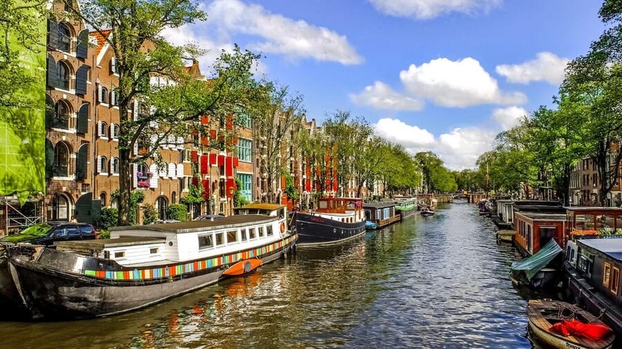 Amsterdam Walking Tour with a Local - Mid-tour highlights: visiting top attractions without the overload