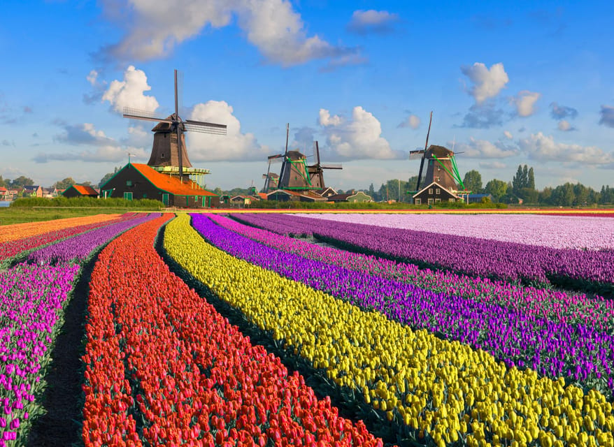 Amsterdam: Zaanse Schans, The Hague & Rotterdam Tour - Key highlights worth your attention