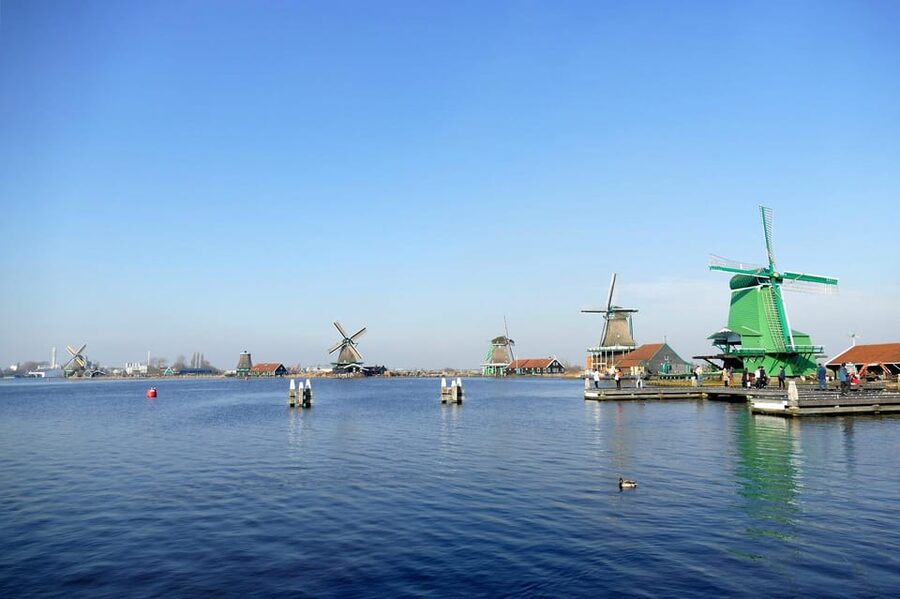 Amsterdam: Zaanse Schans, The Hague & Rotterdam Tour - Price and value at $158: what you get when transport and guide time are included