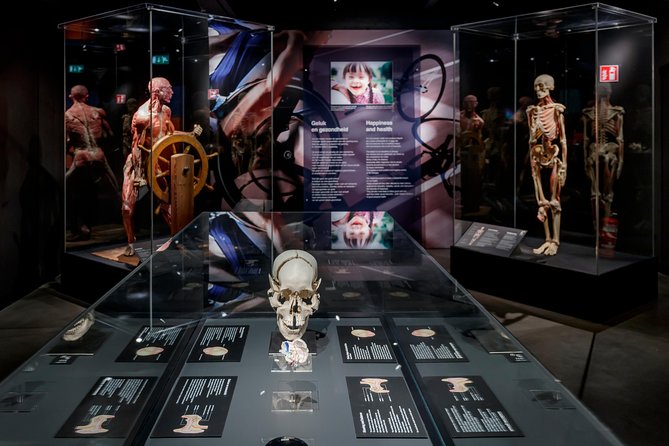 Body Worlds Amsterdam Admission Ticket - A 1.5 to 2 hour self-guided circuit inside Body Worlds