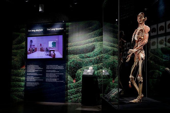Body Worlds Amsterdam Admission Ticket - Price and value: is $27.21 a smart use of your Amsterdam time?