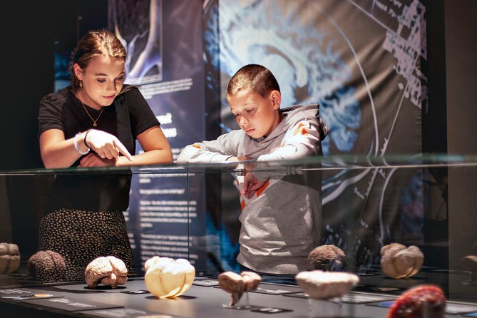 Body Worlds Amsterdam Admission Ticket - The Happiness Project, where mind and body meet
