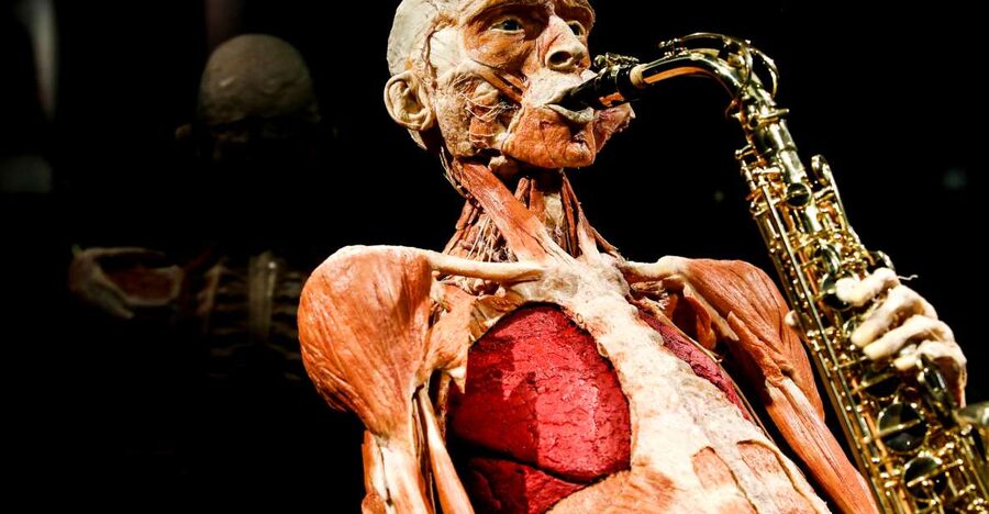 Body Worlds Amsterdam: The Happiness Project Ticket - Finding Body Worlds on Damrak and getting into the right time slot