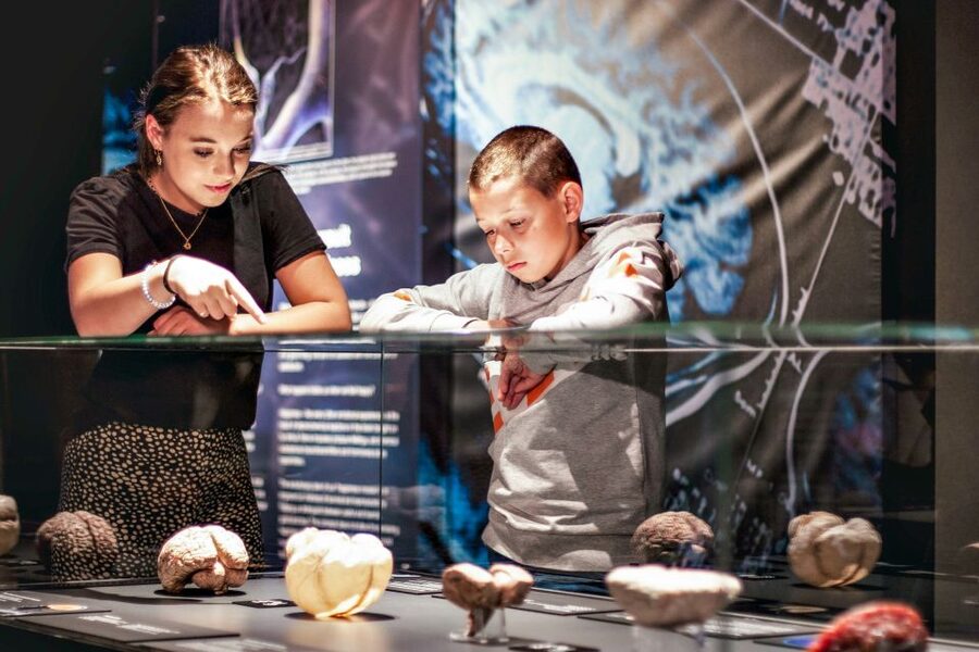 Body Worlds Amsterdam: The Happiness Project Ticket - Sensitive moments at the end, and how to manage them