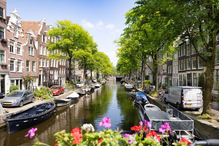 Boutique Dutch Food & History Tour with up to 8 guests only - Comfort, expectations, and who this tour fits best