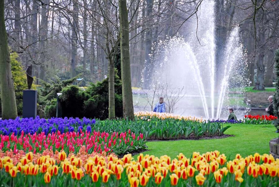 Brussels: Holland Keukenhof & Kinderdijk Guided Day Tour - Key highlights you should care about