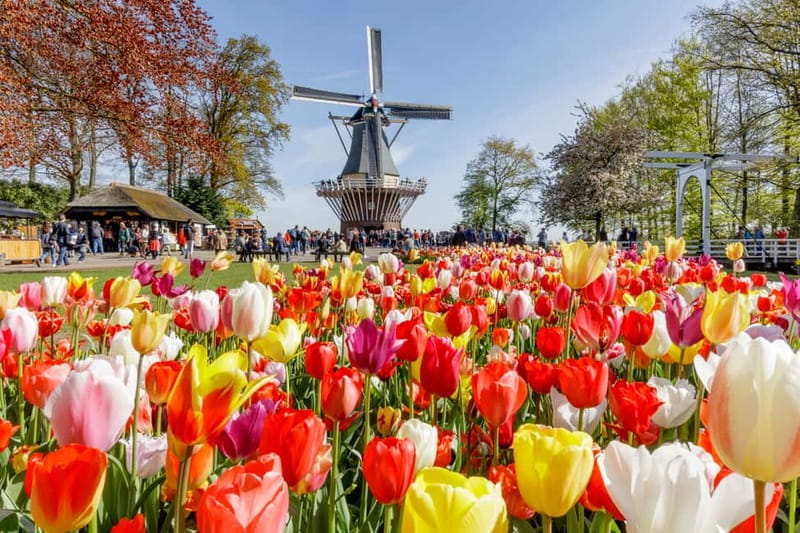 Brussels: Holland Keukenhof & Kinderdijk Guided Day Tour - Why this Brussels day trip feels like two Dutch stories in one day