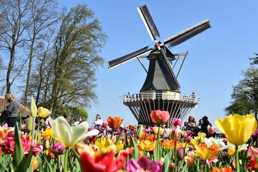 Brussels: Holland Keukenhof & Kinderdijk Guided Day Tour - Keukenhof Gardens: a guided intro, then freedom to chase your favorite colors