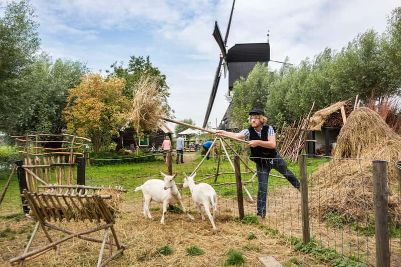 Brussels: Holland Keukenhof & Kinderdijk Guided Day Tour - Timing and weather: what you can control and what you cannot