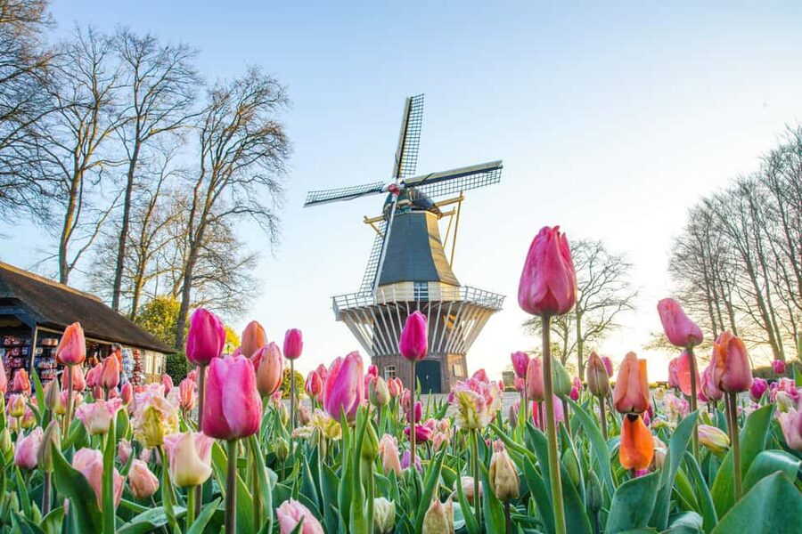 Brussels: Holland Keukenhof & Kinderdijk Guided Day Tour - Who this tour suits best, and who should reconsider
