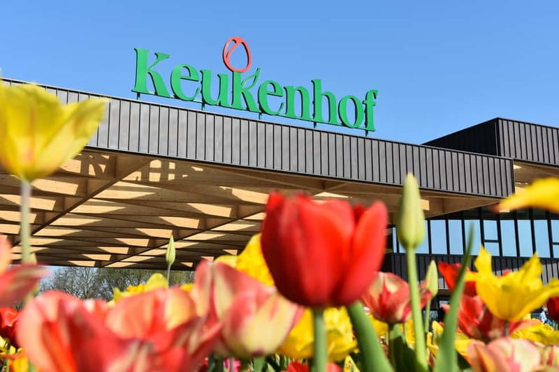 Brussels: Holland Keukenhof & Kinderdijk Guided Day Tour - The 12-hour day: road time, pacing, and how to plan your energy