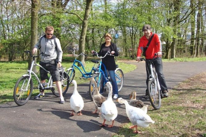 Cheese, Canals & Windmill Countryside E-Bike Tour Amsterdam - Zunderdorp and Ransdorp Village Time (Plus Dorpskerk Views in Summer)