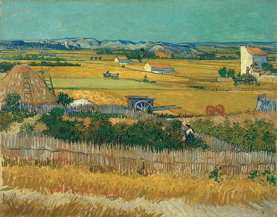 Combo Ticket: Van Gogh Museum Ticket and 1-Hour Canal Cruise - Price and logistics: is $45.18 a fair deal for this combo?