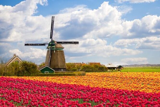 Day Trip to Zaanse Schans, Edam, Volendam and Marken from Amsterdam - Edam’s cobblestones and the cheese-market square feeling