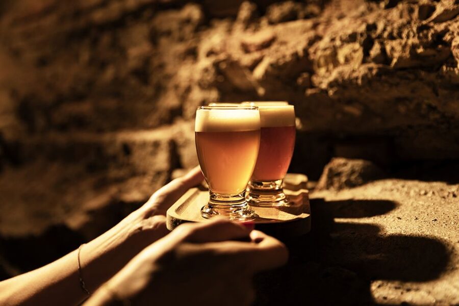 Delft: Craft Beer Tasting in Medieval Brewery with Snacks - Who This Is For (And Who Might Want Something Else)