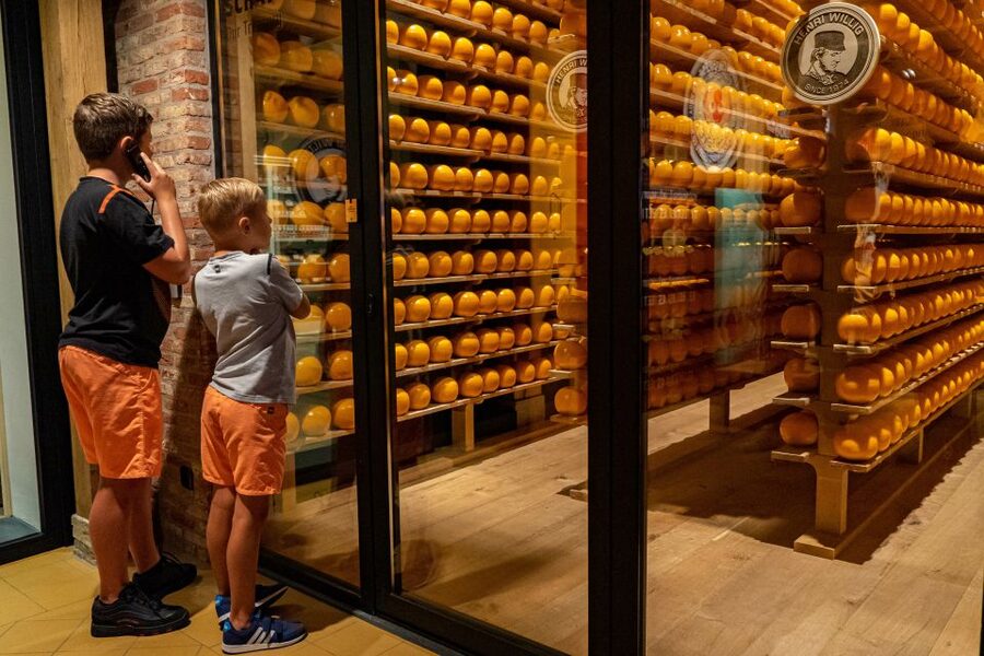 Edam: Edam Cheese Museum Entry Ticket - Who this ticket is best for, and who should skip it