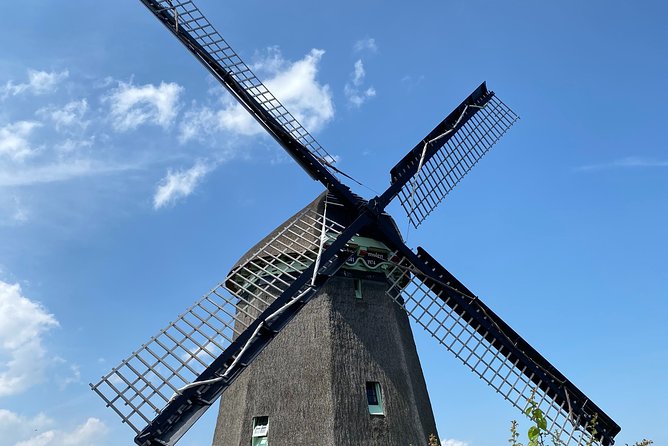 Escape Amsterdam: E-Bike to Zaanse Schans Windmills & Zaandam - NDSM Wharf street art return: where Amsterdam looks forward
