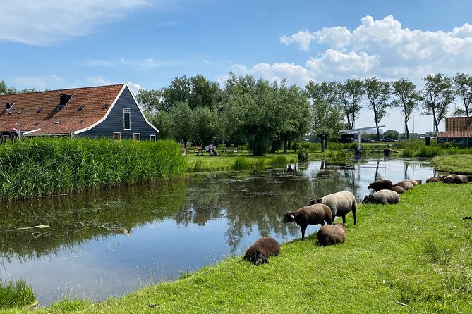 Escape Amsterdam: E-Bike to Zaanse Schans Windmills & Zaandam - Krijtmolen dAdmiraal: the working windmill stop that actually hits
