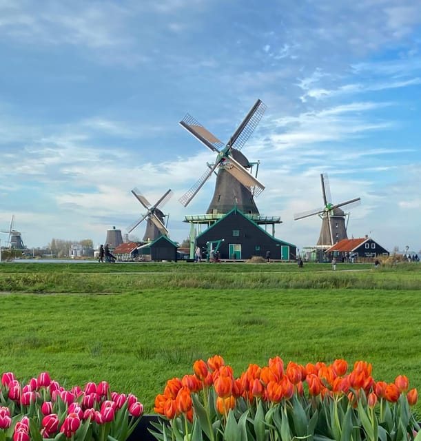 From Amsterdam; Alkmaar Cheese market & Zaanse Schans - Should you book this Alkmaar Cheese Market and Zaanse Schans tour?