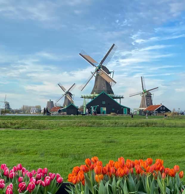 From Amsterdam; Alkmaar Cheese market & Zaanse Schans - Kaasmarkt Alkmaar, where the cheese trading ritual actually makes sense
