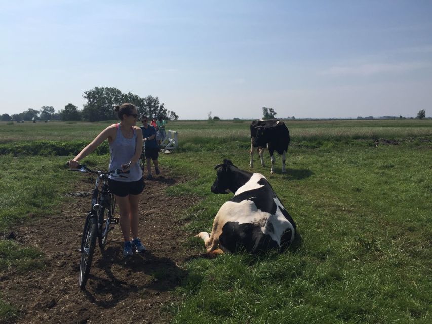 From Amsterdam: Countryside Bike Tour - The Guide Makes the Dikes Mean Something