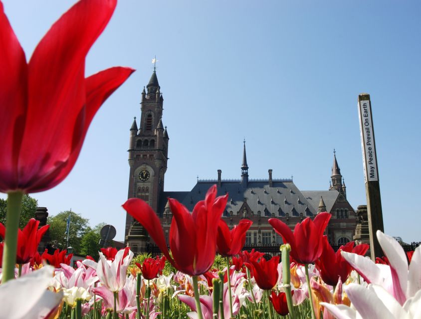 From Amsterdam: Guided Trip to Rotterdam, Delft & The Hague - Rotterdam City Time: Getting Your Bearings without Overplanning
