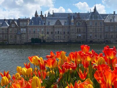 Guided Trip to Rotterdam, Delft & The Hague