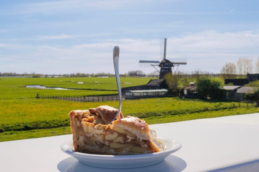 From Amsterdam: Holland Flower and Windmill Tour - summer ed - Who Should Book This Tour (And Who Might Want Another Option)