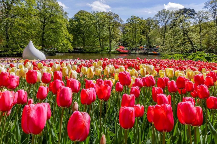 From Amsterdam: Keukenhof and Dutch Countryside Tour - Getting Started at Amsterdam Central, De Ruijterkade 34A