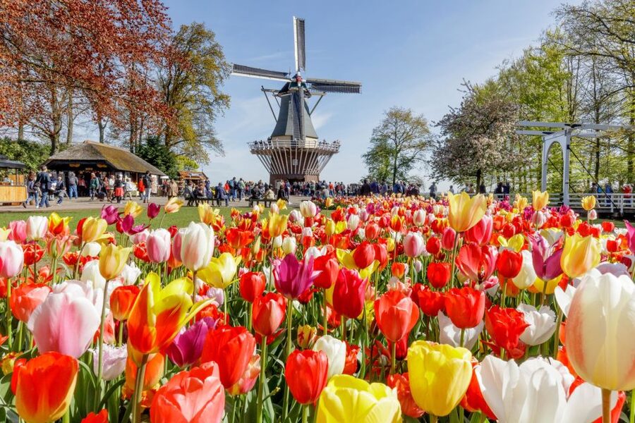From Amsterdam: Keukenhof and Dutch Countryside Tour - Best For Who: Flower Fans, Culture Lovers, and Families With Stamina