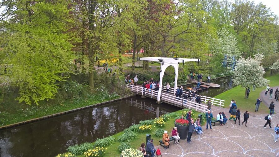 From Amsterdam: Keukenhof and Zaanse Schans Small Group Tour - Should you book the Amsterdam Keukenhof and Zaanse Schans small group tour?