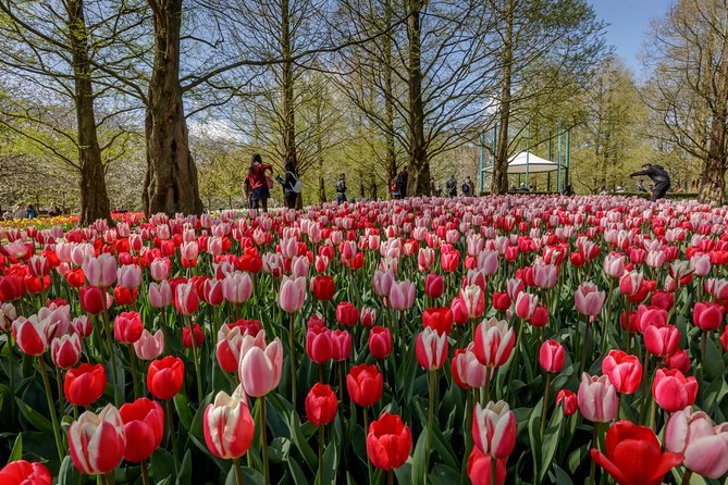 From Amsterdam: Keukenhof Gardens Ticket and Transfer - Common Snags to Plan For (So Your Day Stays Fun)