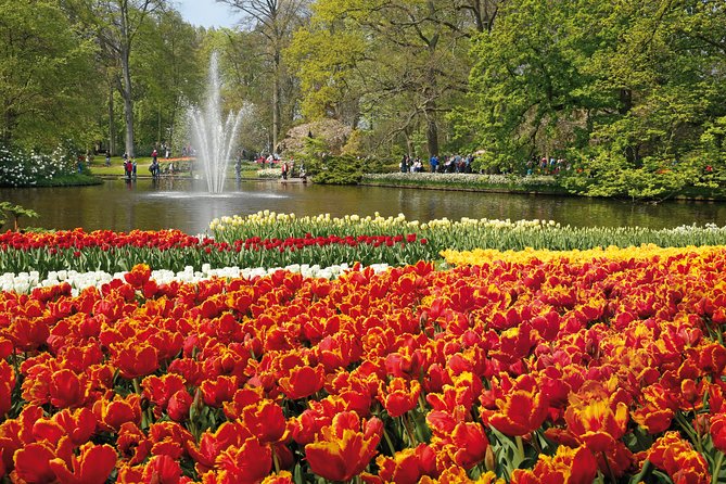 From Amsterdam: Keukenhof Gardens Ticket and Transfer - Who This Trip Fits Best