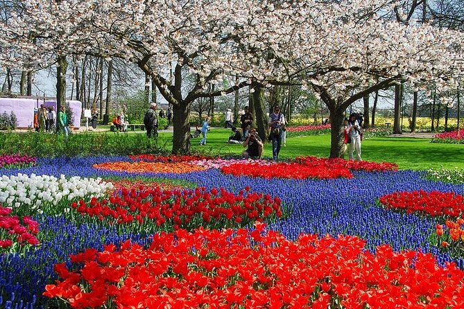 From Amsterdam: Keukenhof Gardens Ticket and Transfer - Meeting Point, Timing, and the 5.5-Hour Rhythm
