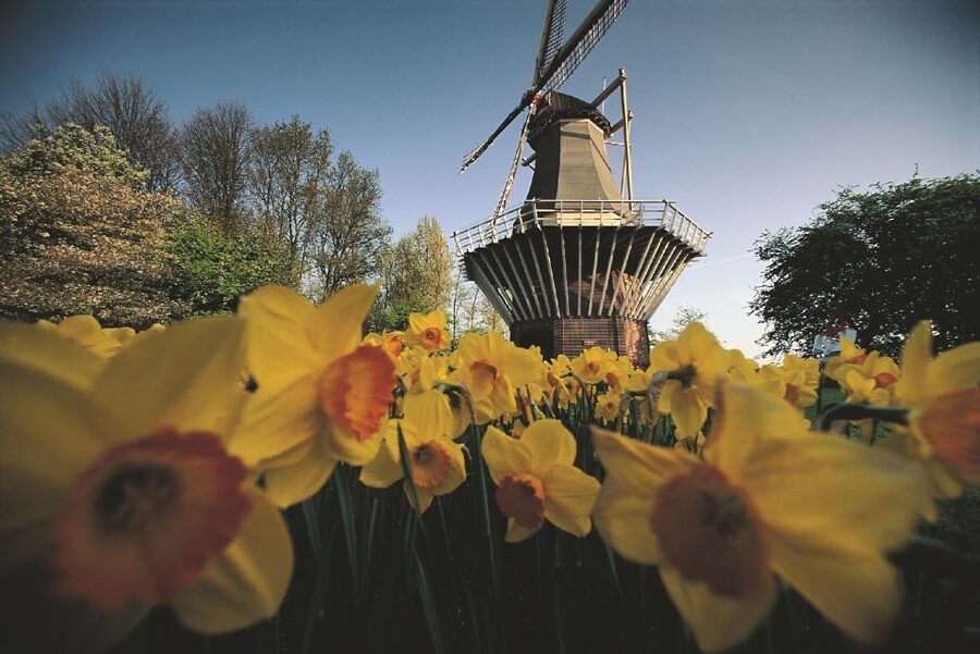 From Amsterdam: Keukenhof Gardens & Tulip Experience Tour - Keukenhof Gardens: How to Use Your Scheduled 3+ Hours